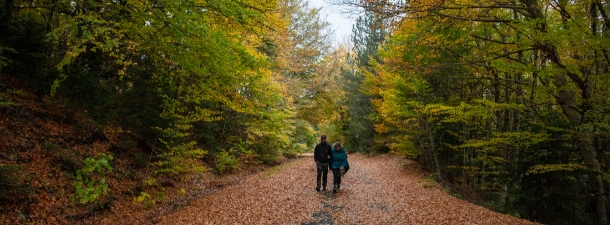 Χειμερινό τοπίο Γρεβενών