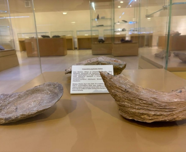 Χειμερινό τοπίο Γρεβενών