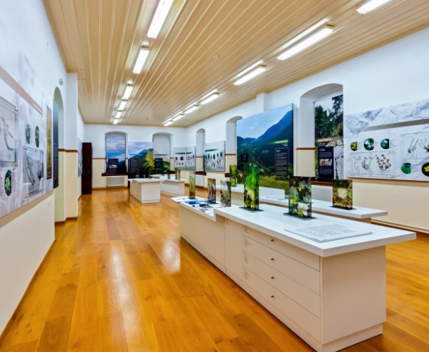 Χειμερινό τοπίο Γρεβενών