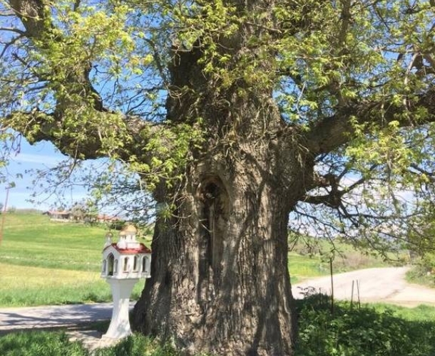 Χειμερινό τοπίο Γρεβενών