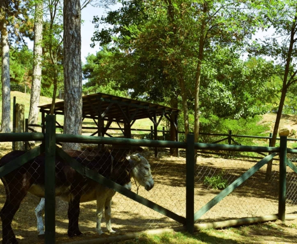 Χειμερινό τοπίο Γρεβενών