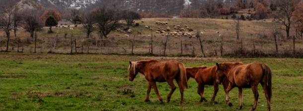 Χειμερινό τοπίο Γρεβενών