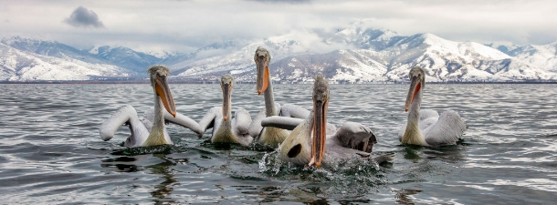 Χειμερινό τοπίο Γρεβενών