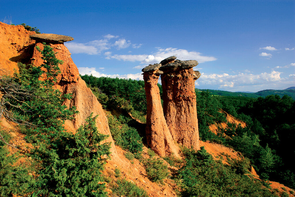Μπουχάρια – Νοχτάρια Σερβίων