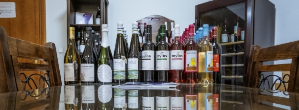 Οινοτουρισμός στο Αμύνταιο