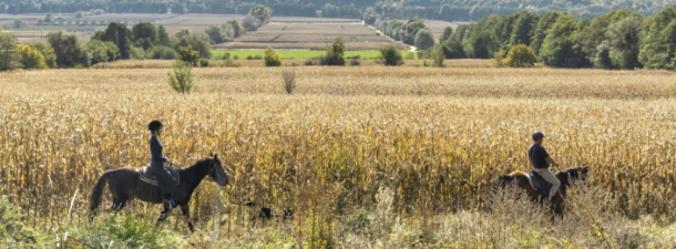 Βόλτα με άλογο