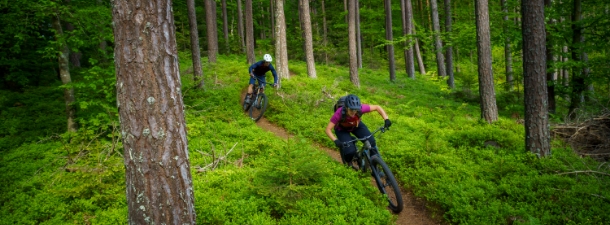 Ποδήλατο βουνού