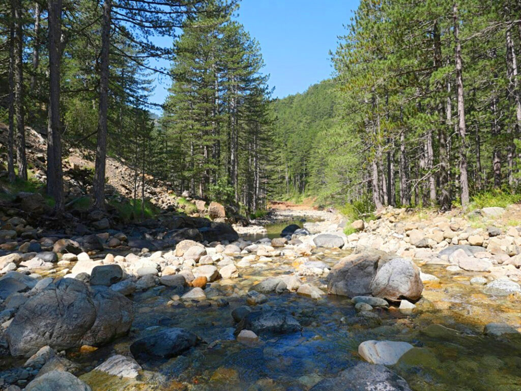 Εθνικός Δρυμός Βάλια Κάλντα