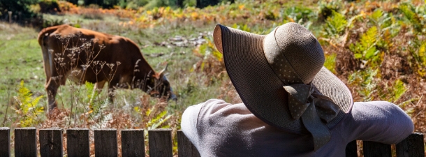 Δραστηριότητες στην πόλη και στη φύση