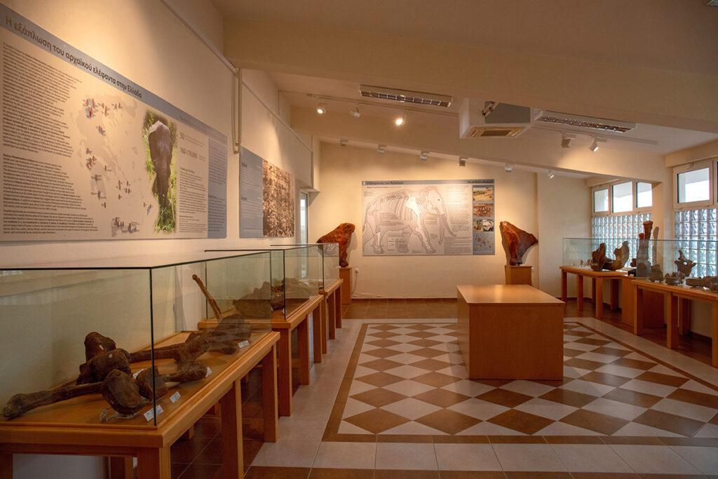 Μουσείο Φυσικής Ιστορίας στη Μηλιά