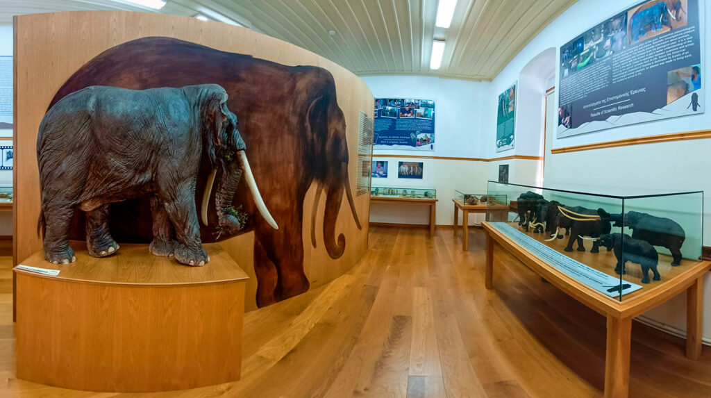 Παλαιοντολογική Συλλογή Σιάτιστας