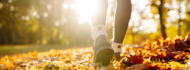 Πεζοπορία και ποδηλασία