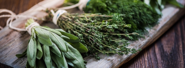 Βιωματική Εμπειρία με Αρωματικά Φυτά