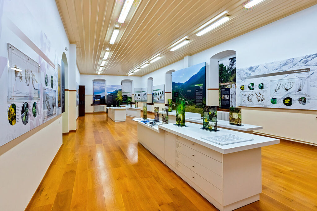 Βοτανικό Μουσείο Σιάτιστας