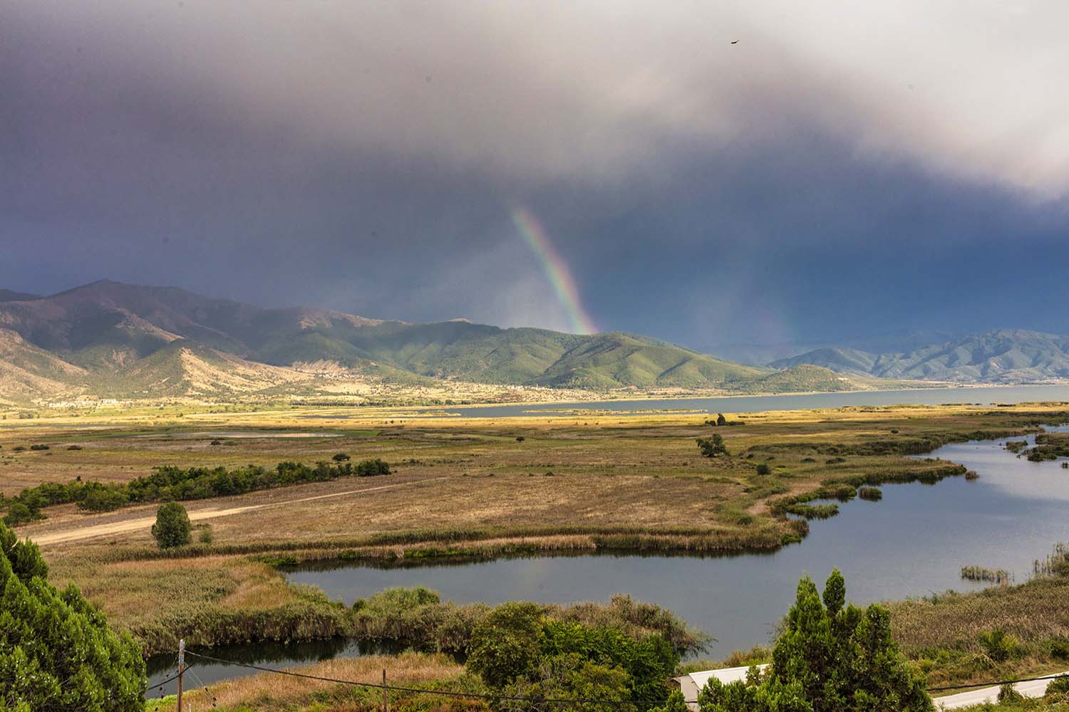 Εθνικός Δρυμός Πρεσπών