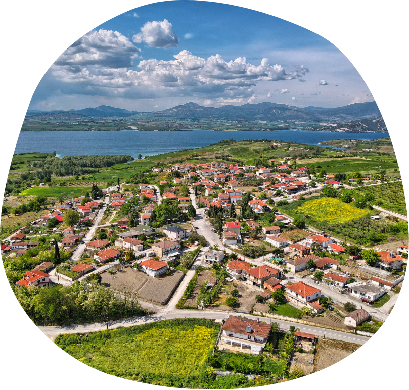 https://makedonia.pavladev.gr/wp-content/uploads/2026/04/servia.png